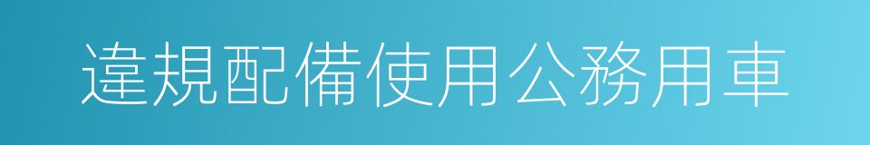 違規配備使用公務用車的同義詞