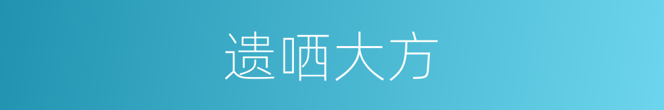 遗哂大方的意思