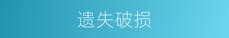 遗失破损的同义词