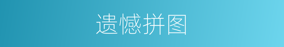 遗憾拼图的同义词