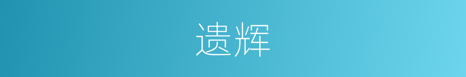 遗辉的意思