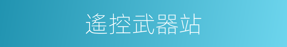 遙控武器站的同義詞