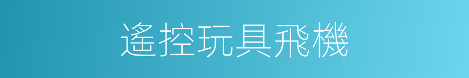 遙控玩具飛機的同義詞