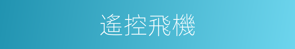 遙控飛機的同義詞