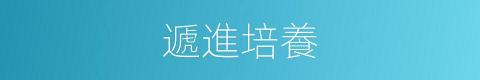 遞進培養的同義詞