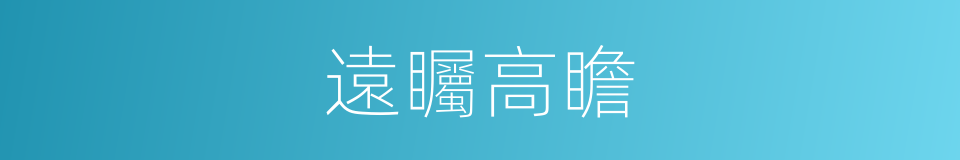 遠矚高瞻的意思