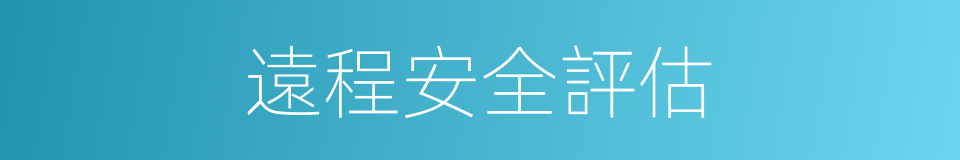遠程安全評估的同義詞