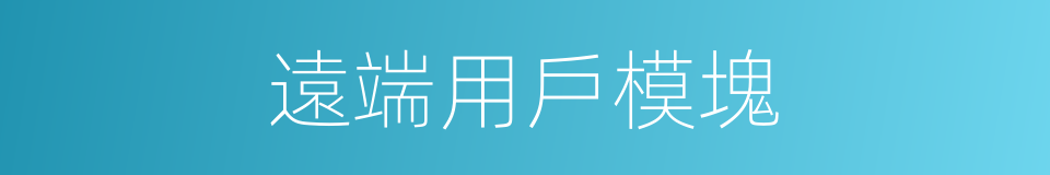 遠端用戶模塊的同義詞