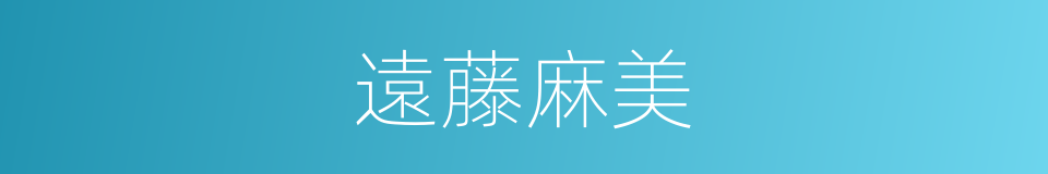 遠藤麻美的同義詞