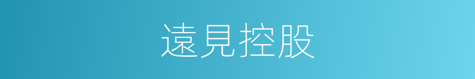 遠見控股的同義詞
