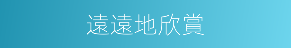 遠遠地欣賞的同義詞