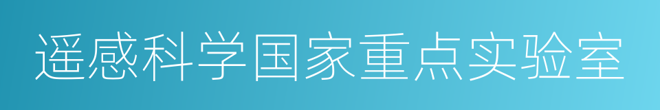 遥感科学国家重点实验室的同义词