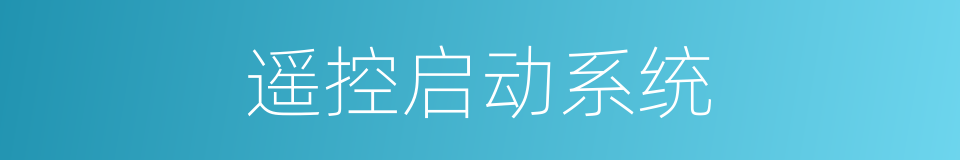 遥控启动系统的同义词
