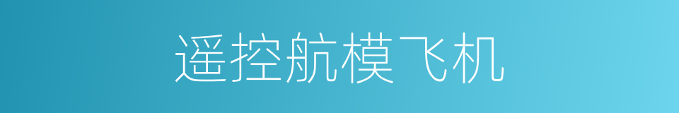 遥控航模飞机的同义词