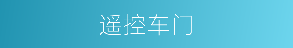 遥控车门的同义词