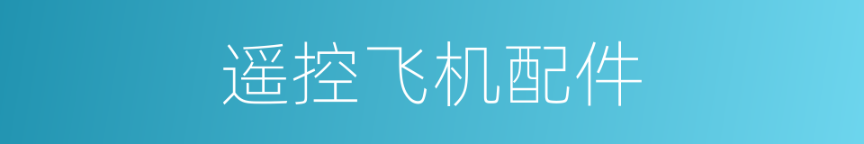 遥控飞机配件的同义词