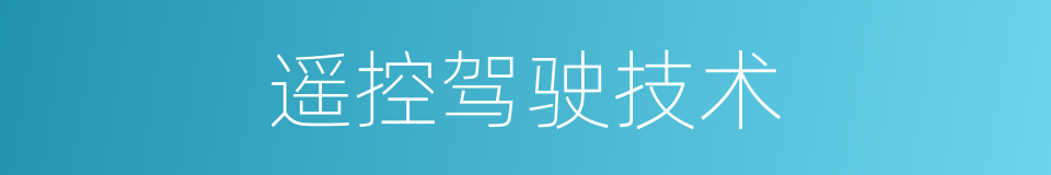 遥控驾驶技术的同义词