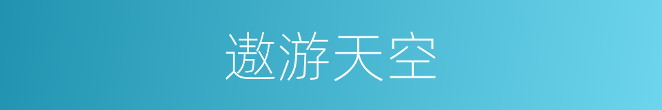 遨游天空的同义词