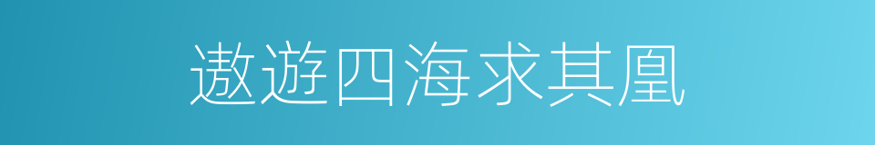 遨遊四海求其凰的同義詞