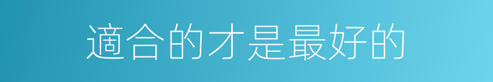 適合的才是最好的的同義詞