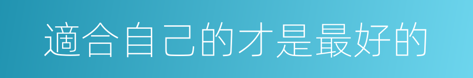 適合自己的才是最好的的同義詞