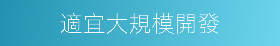 適宜大規模開發的同義詞