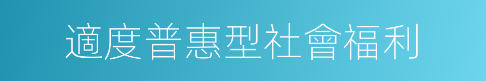 適度普惠型社會福利的同義詞