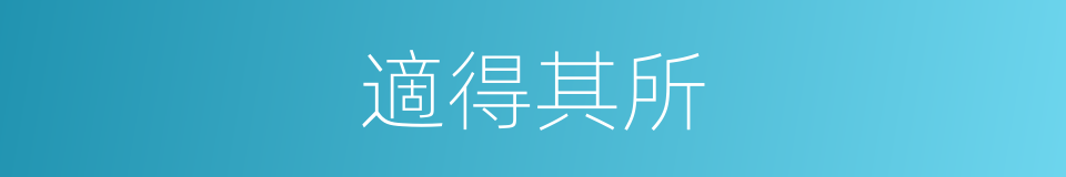 適得其所的意思