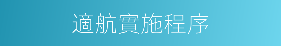 適航實施程序的同義詞