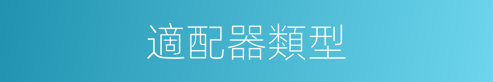 適配器類型的同義詞