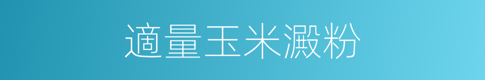 適量玉米澱粉的同義詞