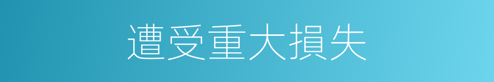 遭受重大損失的同義詞