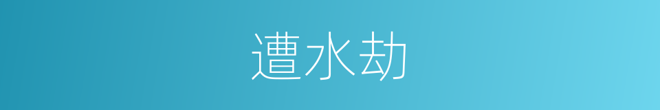 遭水劫的同义词