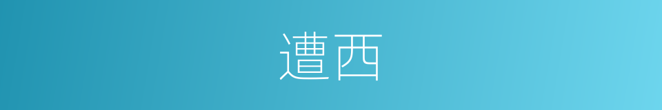 遭西的同义词