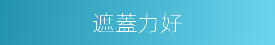 遮蓋力好的同義詞