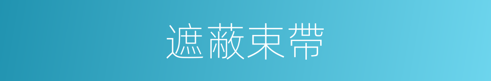 遮蔽束帶的同義詞