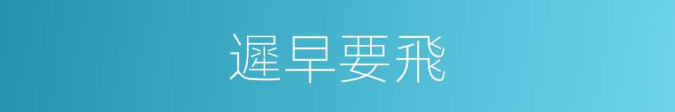 遲早要飛的同義詞