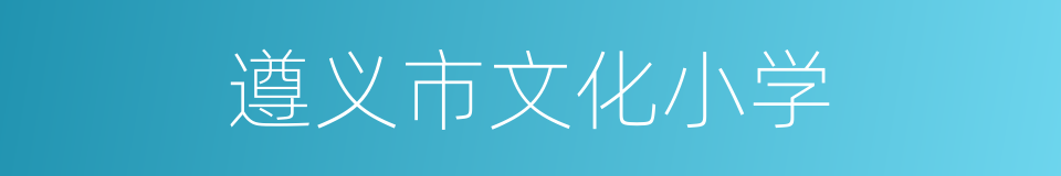 遵义市文化小学的同义词