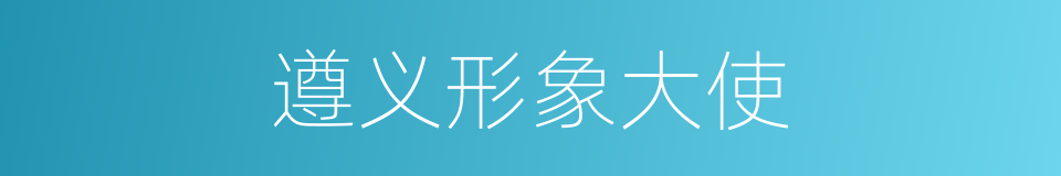 遵义形象大使的同义词