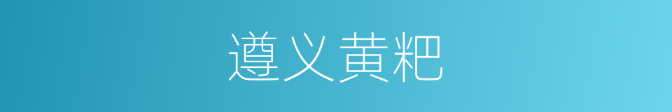 遵义黄粑的同义词