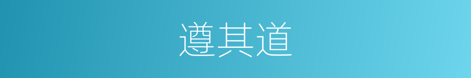 遵其道的同义词