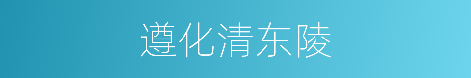 遵化清东陵的同义词