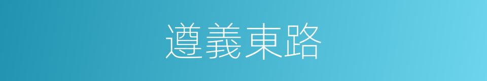 遵義東路的同義詞