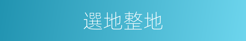 選地整地的同義詞