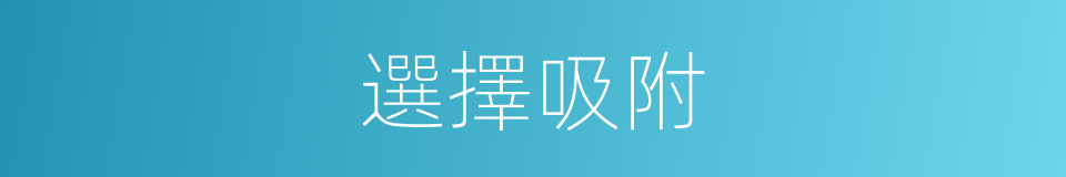 選擇吸附的同義詞