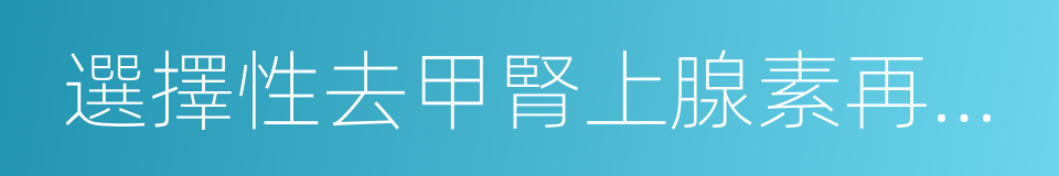 選擇性去甲腎上腺素再攝取抑制劑的同義詞