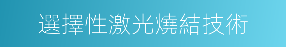 選擇性激光燒結技術的同義詞