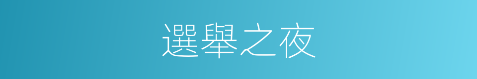 選舉之夜的同義詞