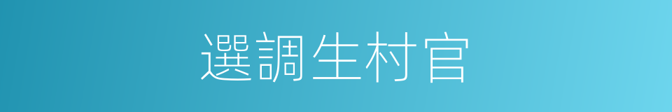 選調生村官的同義詞