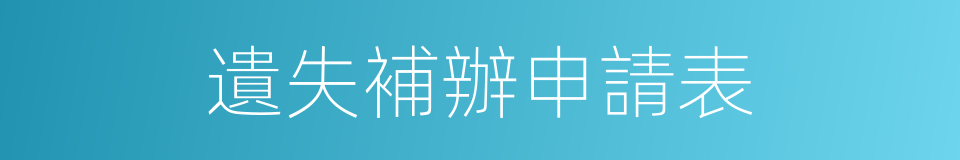 遺失補辦申請表的同義詞